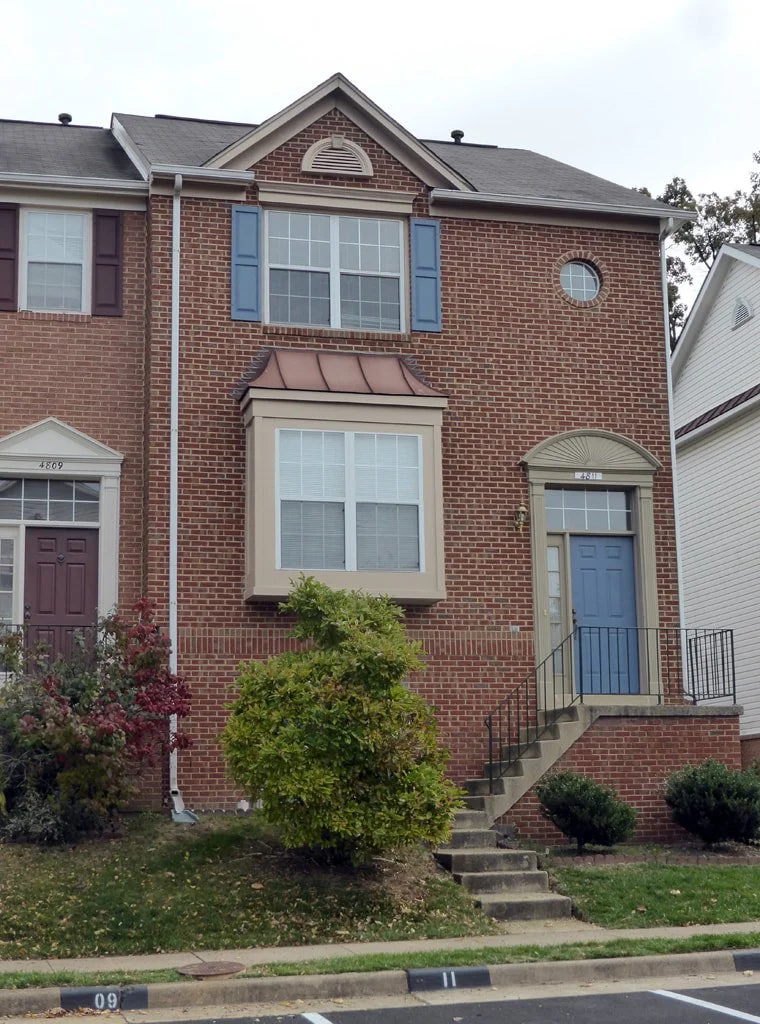Great Heron